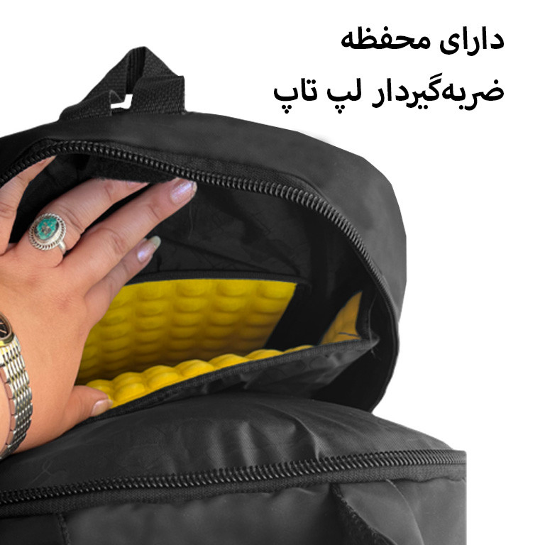 کوله پشتی سفری مدل ANT302010