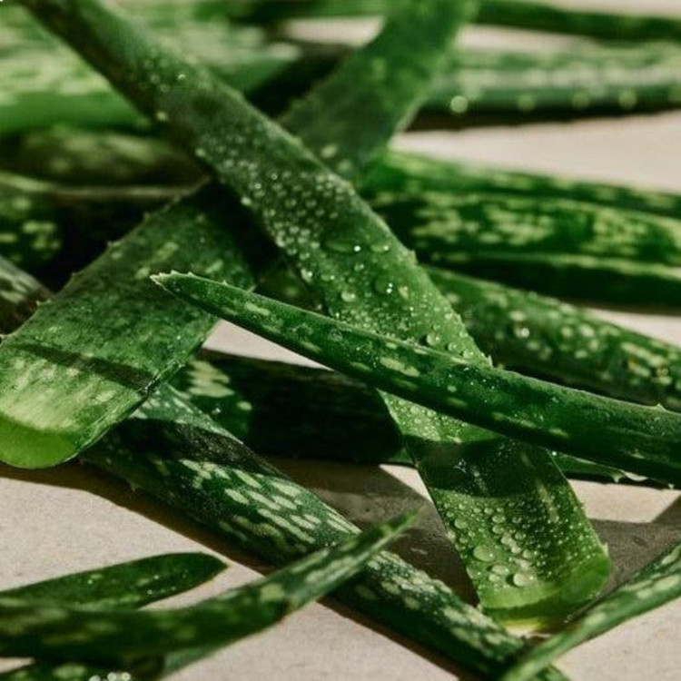 تونر پاک کننده پوست صورت بادی شاپ مدل Aloe سازگار با پوست حساس حجم 250 میلی لیتر