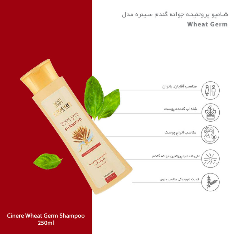 شامپو تقویتکننده مو سینره مخصوص انواع مو، حجم 250 میلیلیتر مدل Wheat Germ، حاوی ویتامینهای E و B5 با عصاره پروتئین جوانه گندم