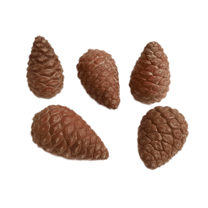 میوه تزیینی مدل کاج مینیاتوری بسته 5 عددی