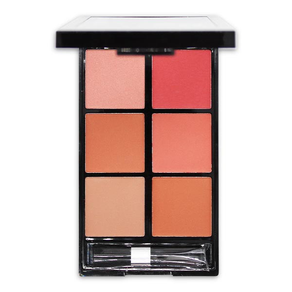 پالت رژ گونه رمانتیک برد مدل 6B V-Face Beauty Looks B
