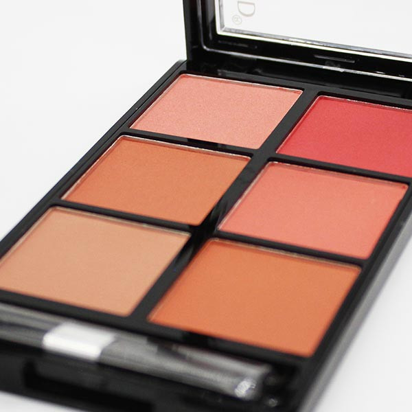 پالت رژ گونه رمانتیک برد مدل 6B V-Face Beauty Looks B