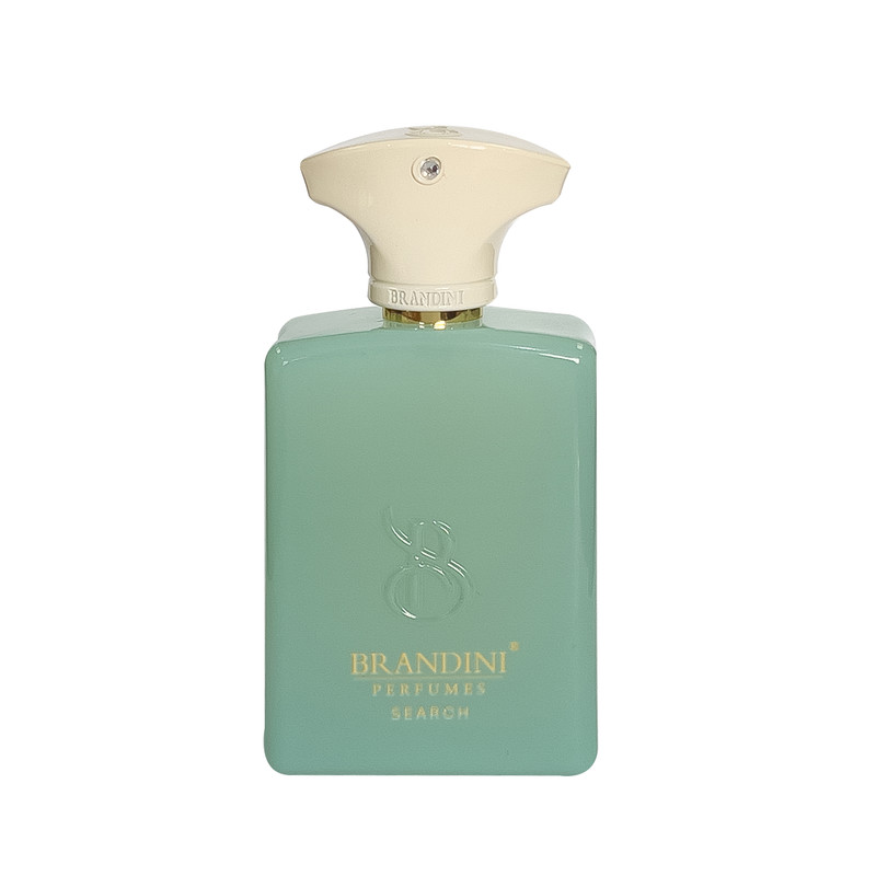 عطر جیبی برندینی مدل Search حجم 33 میلی لیتر