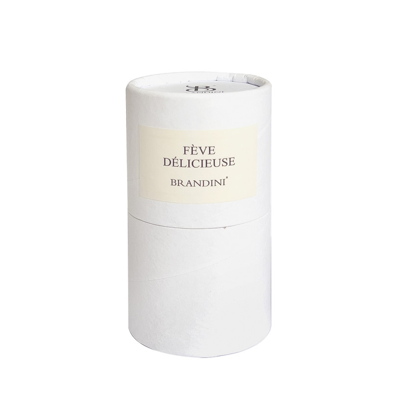 عطر جیبی برندینی مدل Feve Delicieuse حجم 33 میلی لیتر