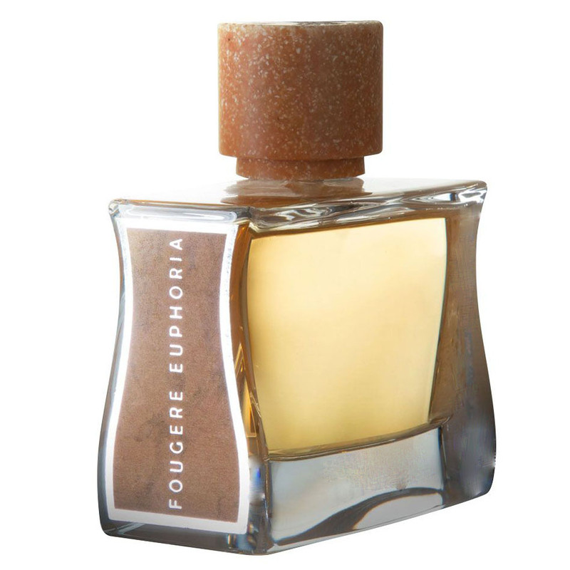 ادوپرفیوم اولفاکتولوژی مدل FOUGERE EUPHORIA با رایحه گرم حجم 100 میلی‌لیتر