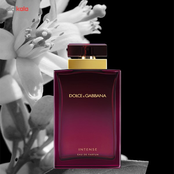 ادو پرفیوم زنانه دولچه اند گابانا Intense حجم 100ml