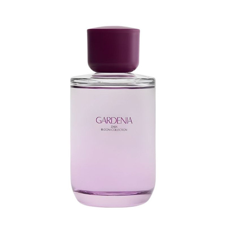 ادوپرفیوم زنانه زارا مدل Gardenia با رایحه گرم حجم 180 میلیلیتر