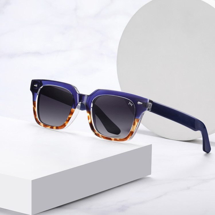 عینک آفتابی ویفرر (Wayfarer) آلبرت وگ مدل S31105-C4 Polarized Avantgarde Visionary