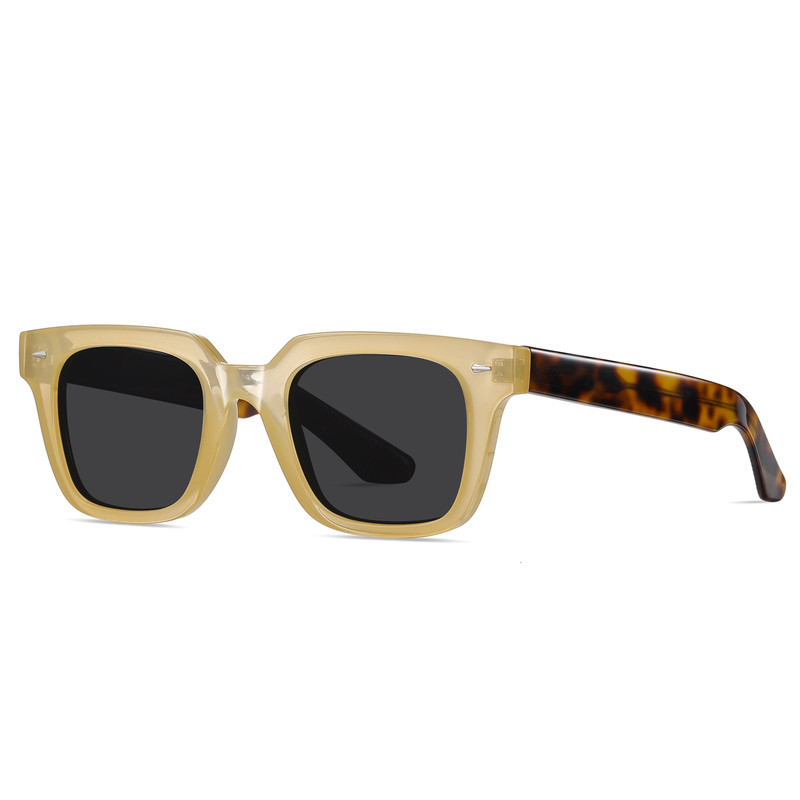 عینک آفتابی ویفرر (Wayfarer) آلبرت وگ مدل S31105C2 Acetate Avantgarde Visionary