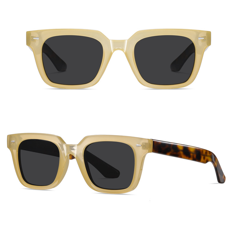 عینک آفتابی ویفرر (Wayfarer) آلبرت وگ مدل S31105C2 Acetate Avantgarde Visionary