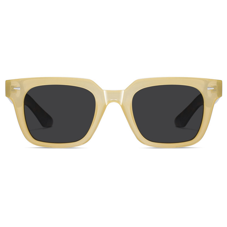 عینک آفتابی ویفرر (Wayfarer) آلبرت وگ مدل S31105C2 Acetate Avantgarde Visionary