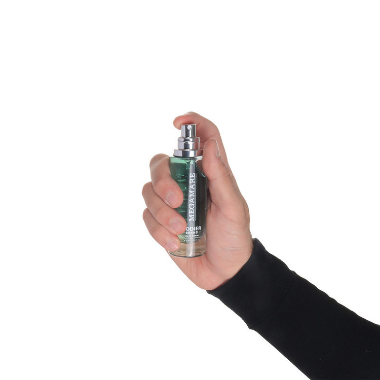 ادوپرفیوم رودیر مدل MEGAMARE با رایحه خنک حجم 30 میلیلیتر