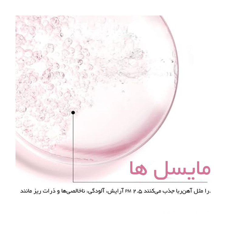 محلول پاک کننده آرایش صورت گارنیه مدل Skin Naturals حجم 400 میلی لیتر
