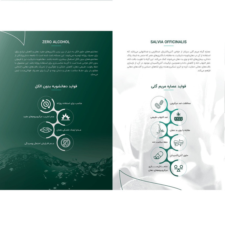 دهان شویه دنتیلایت مدل پستبیوتیک حجم 500 میلیلیتر