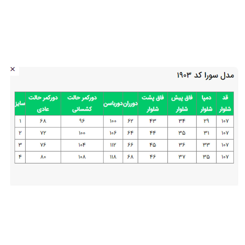 شلوار بگ زنانه مدل سورا کد 190386