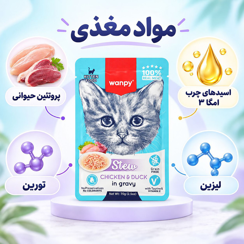 پوچ بچه گربه ونپی مدل Stew chicken & duck وزن 70 گرم