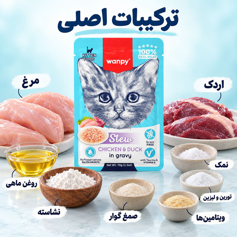 پوچ بچه گربه ونپی مدل Stew chicken & duck وزن 70 گرم