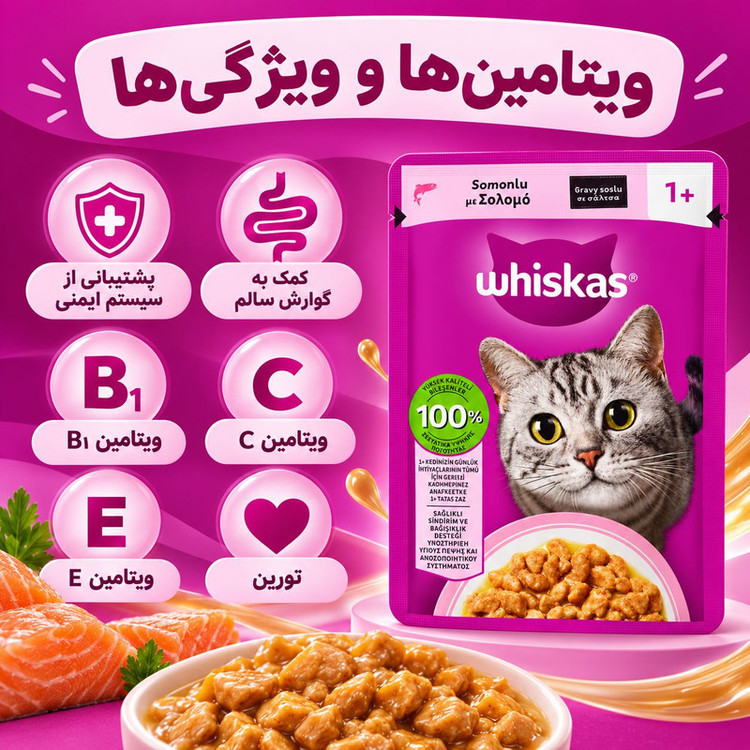پوچ گربه بالغ ویسکاس مدل Gravy طعم سالمون وزن 85 گرم