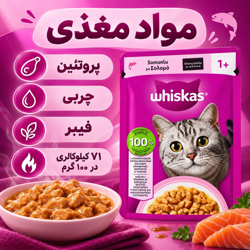 پوچ گربه بالغ ویسکاس مدل Gravy طعم سالمون وزن 85 گرم