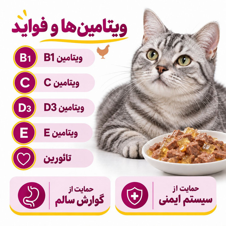 پوچ گربه بالغ ویسکاس مدل Jelly طعم مرغ وزن 85 گرم