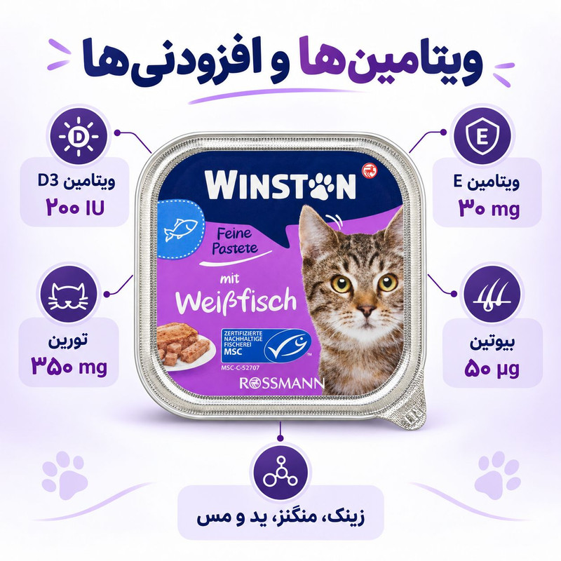 کنسرو گربه بالغ وینستون مدل Fine Pate طعم ماهی سفید وزن 100 گرم
