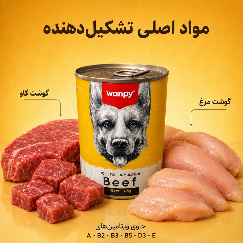 کنسرو غذای سگ بالغ ونپی مدل Holistic Formulation Beef طعم مرغ گوشت گاو وزن 375 گرم