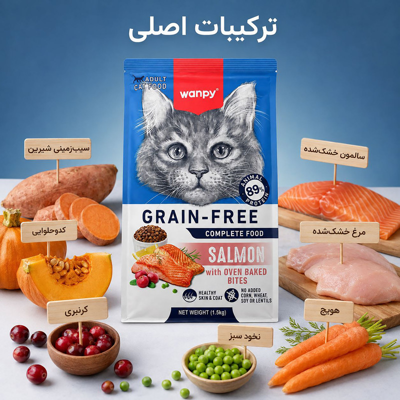 غذای خشک گربه بالغ ونپی مدل گرین فری سالمون وزن 1.5کیلوگرم