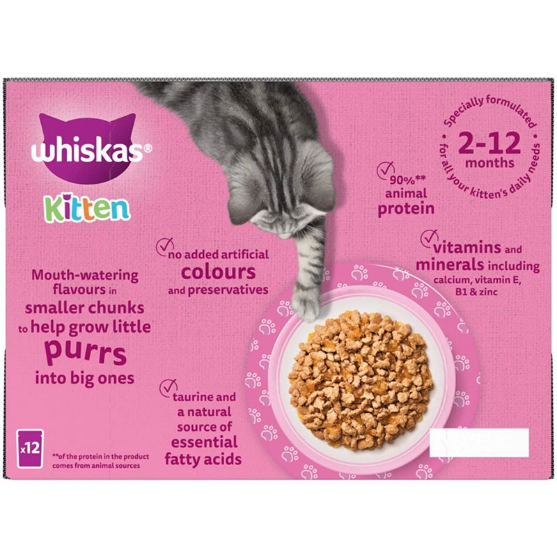 پوچ بچه گربه ویسکاس مدل Kitten in Jelly با طعم ماهی سالمون وزن 85 گرم