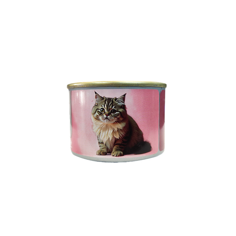 غذای خشک بچه گربه سلبن مدل Kitten Pack با طعم مرغ به همراه کنسرو بسته 4 عددی