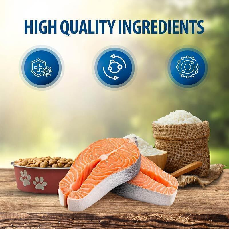 غذای خشک گربه بالغ رفلکس پلاس مدل Adult Salmon با طعم ماهی سالمون وزن 1.5 کیلوگرم