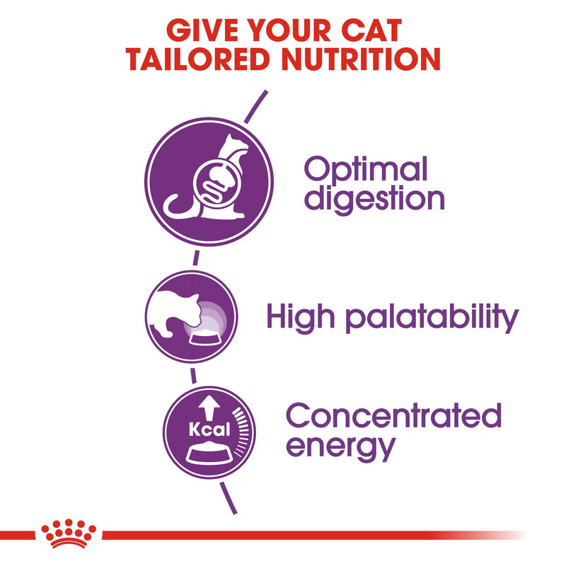 غذای خشک گربه رویال کنین مدل Sensible Adult Cats وزن 4 کیلوگرم