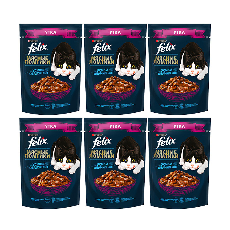 پوچ گربه فلیکس مدل in Sauce طعم اردک وزن 410 گرم بسته 6 عددی