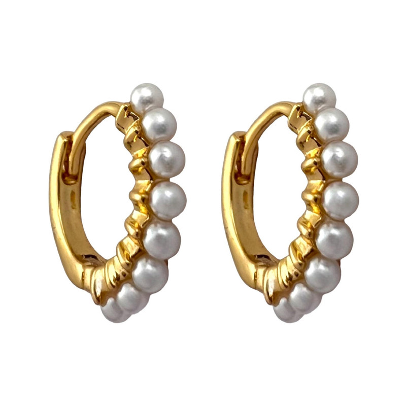 گوشواره زنانه ژوپینگ مدل E5030