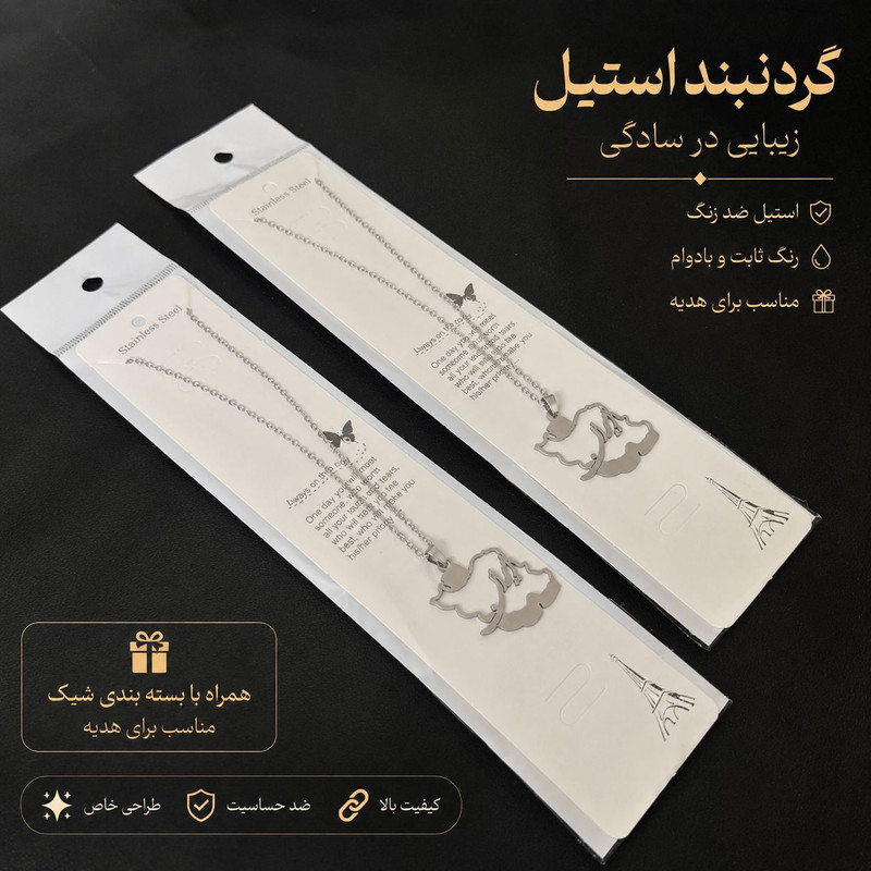 گردنبند مدل تایسا 05 استیل طرح ایران