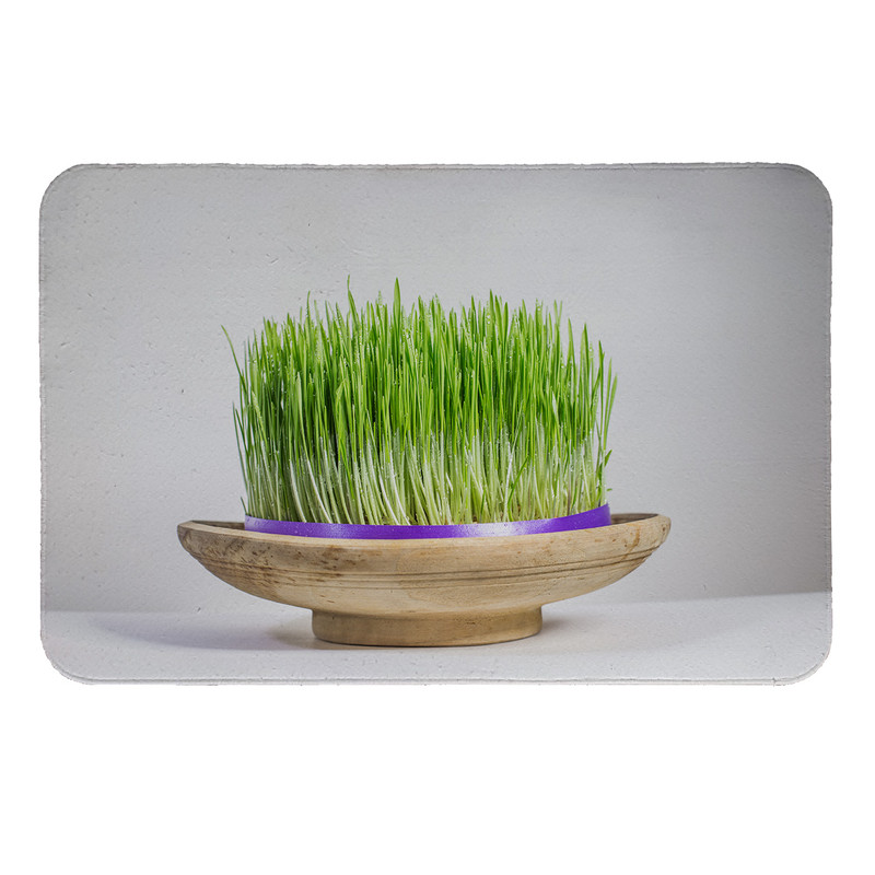 پادری طرح سبزه کد 5763 سایز 60 × 40 سانتی‌متر