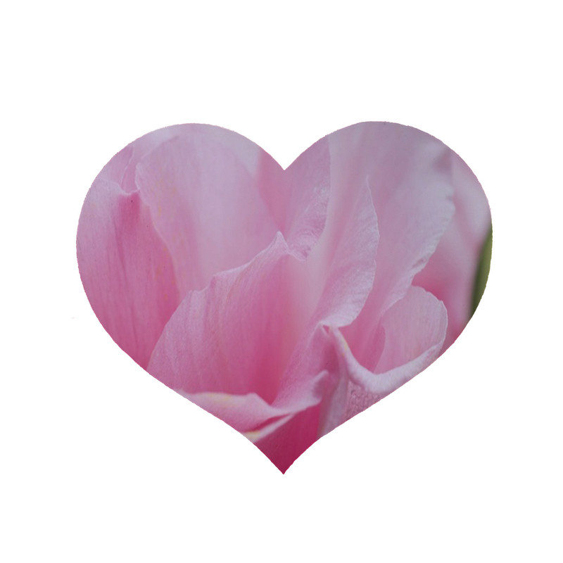 پادری مدل قلب طرح گل کد 8100 سایز 90 × 90 سانتی متر