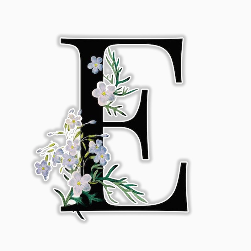 استیکر لپ تاپ و موبایل بووم طرح حروف انگلیسی مدل E کد 02