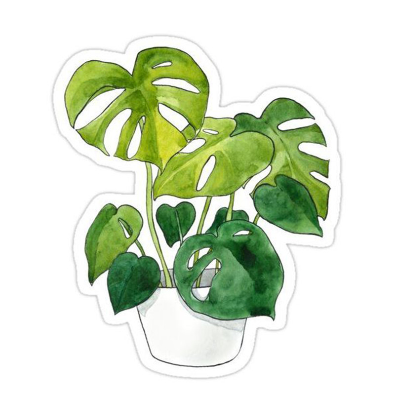 استیکر لپ تاپ طرح گل کد 2881