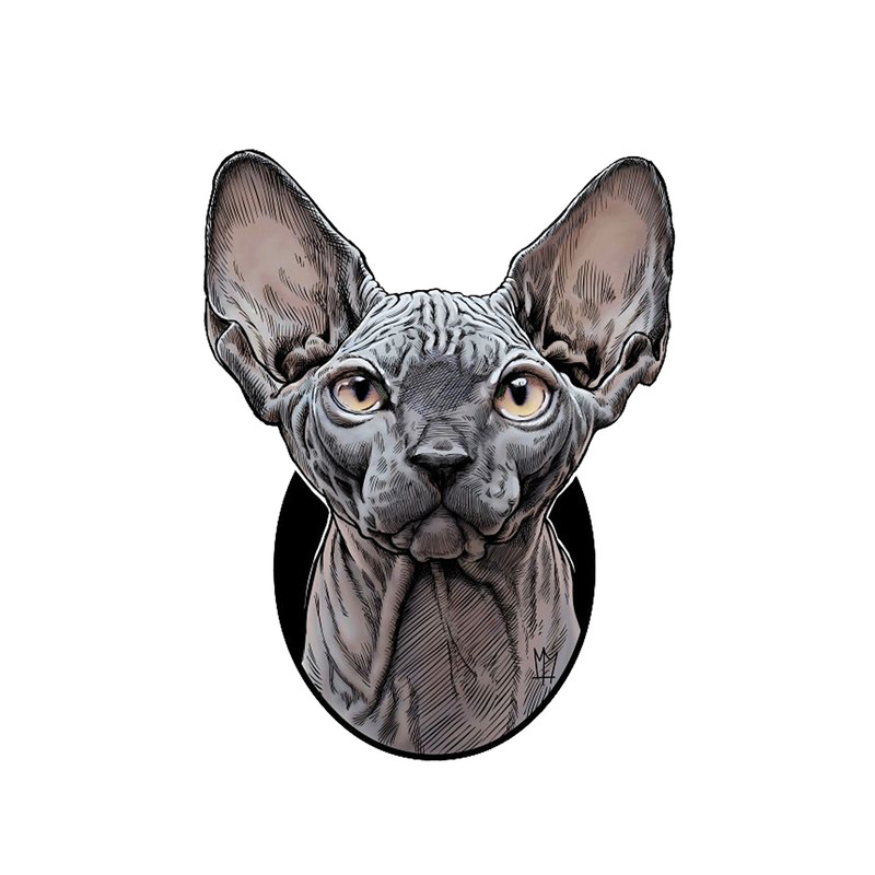 استیکر لپ تاپ طرح گربه کد STL681