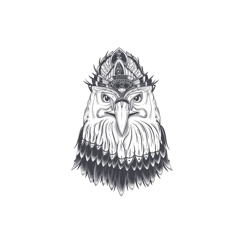 استیکر لپ تاپ گراسیپا طرح عقاب کد ۰۱