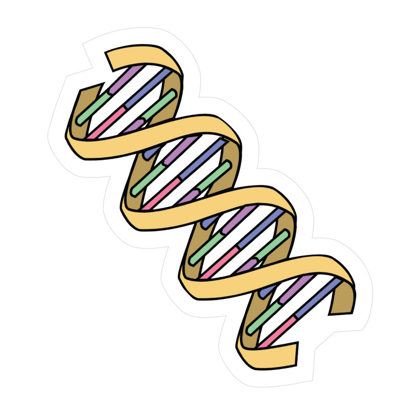 استیکر لپ تاپ مدل DNA کد ST171