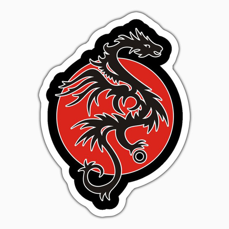 استیکر لپ تاپ و موبایل بووم طرح Dragon مدل RB کد PS170