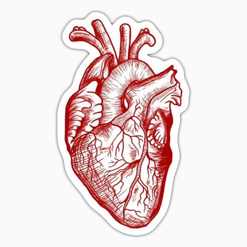 استیکر لپ تاپ و موبایل بووم طرح قلب کد UV093