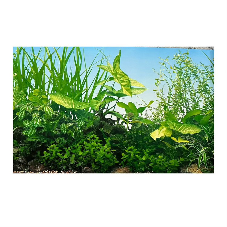 پوستر طرح آکواریوم مدل 9051