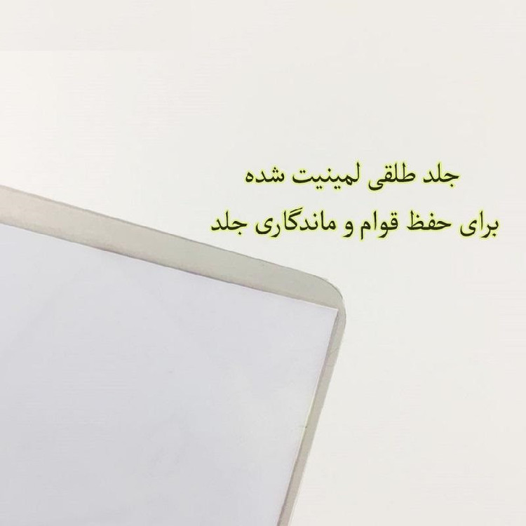 پوستر مدل انیمه سگ های ولگرد بانگو p99