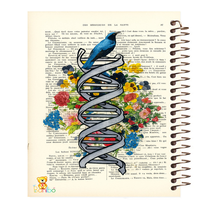 دفتر زبان 100 برگ سیمی بانیبو مدل DNA کد 2731