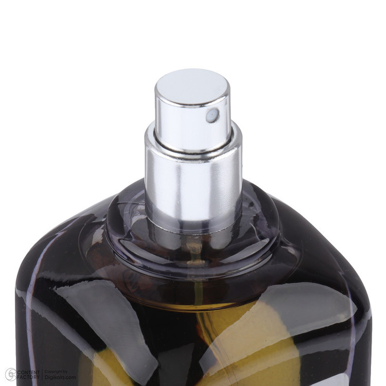 ادوپرفیوم مردانه رمینیسنس مدل Althair حجم 100 میلیلیتر با رایحه گرم، چوبی و گل